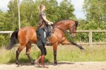 Cours et stages d'équitation